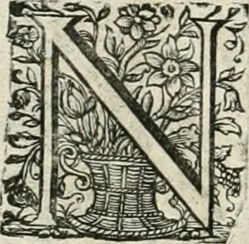 An illustration from Innocentia vindicata : in qua gravissimis argumentis ex S. Thoma petitis ostenditur, angelicum doctorem pro immaculato conceptu Deiparae sensisse & scripsisse ..., 1698, leaf 167