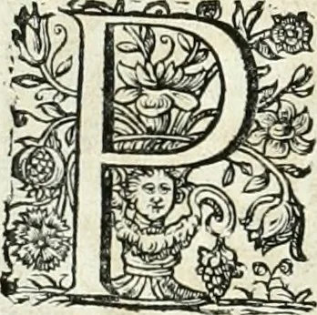 An illustration from Innocentia vindicata : in qua gravissimis argumentis ex S. Thoma petitis ostenditur, angelicum doctorem pro immaculato conceptu Deiparae sensisse & scripsisse ..., 1698, leaf 169