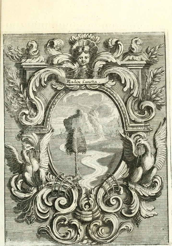 An illustration from Innocentia vindicata : in qua gravissimis argumentis ex S. Thoma petitis ostenditur, angelicum doctorem pro immaculato conceptu Deiparae sensisse & scripsisse ..., 1698, leaf 170