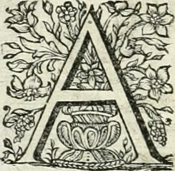 An illustration from Innocentia vindicata : in qua gravissimis argumentis ex S. Thoma petitis ostenditur, angelicum doctorem pro immaculato conceptu Deiparae sensisse & scripsisse ..., 1698, leaf 171