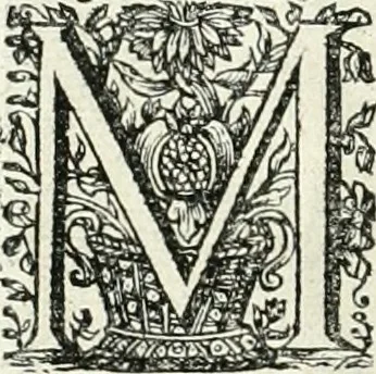 An illustration from Innocentia vindicata : in qua gravissimis argumentis ex S. Thoma petitis ostenditur, angelicum doctorem pro immaculato conceptu Deiparae sensisse & scripsisse ..., 1698, leaf 175