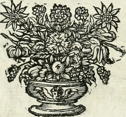 An illustration from Innocentia vindicata : in qua gravissimis argumentis ex S. Thoma petitis ostenditur, angelicum doctorem pro immaculato conceptu Deiparae sensisse & scripsisse ..., 1698, leaf 175