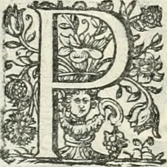An illustration from Innocentia vindicata : in qua gravissimis argumentis ex S. Thoma petitis ostenditur, angelicum doctorem pro immaculato conceptu Deiparae sensisse & scripsisse ..., 1698, leaf 177