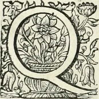 An illustration from Innocentia vindicata : in qua gravissimis argumentis ex S. Thoma petitis ostenditur, angelicum doctorem pro immaculato conceptu Deiparae sensisse & scripsisse ..., 1698, leaf 181