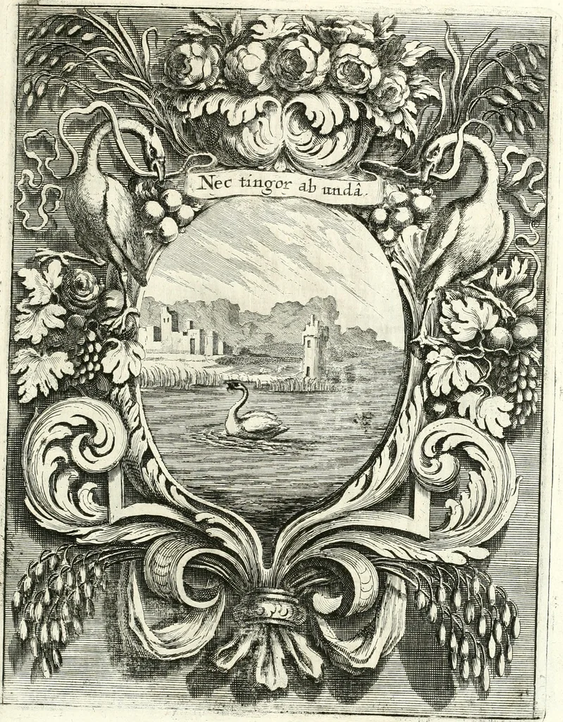 An illustration from Innocentia vindicata : in qua gravissimis argumentis ex S. Thoma petitis ostenditur, angelicum doctorem pro immaculato conceptu Deiparae sensisse & scripsisse ..., 1698, leaf 184