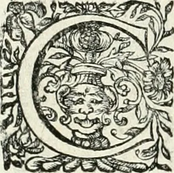 An illustration from Innocentia vindicata : in qua gravissimis argumentis ex S. Thoma petitis ostenditur, angelicum doctorem pro immaculato conceptu Deiparae sensisse & scripsisse ..., 1698, leaf 185