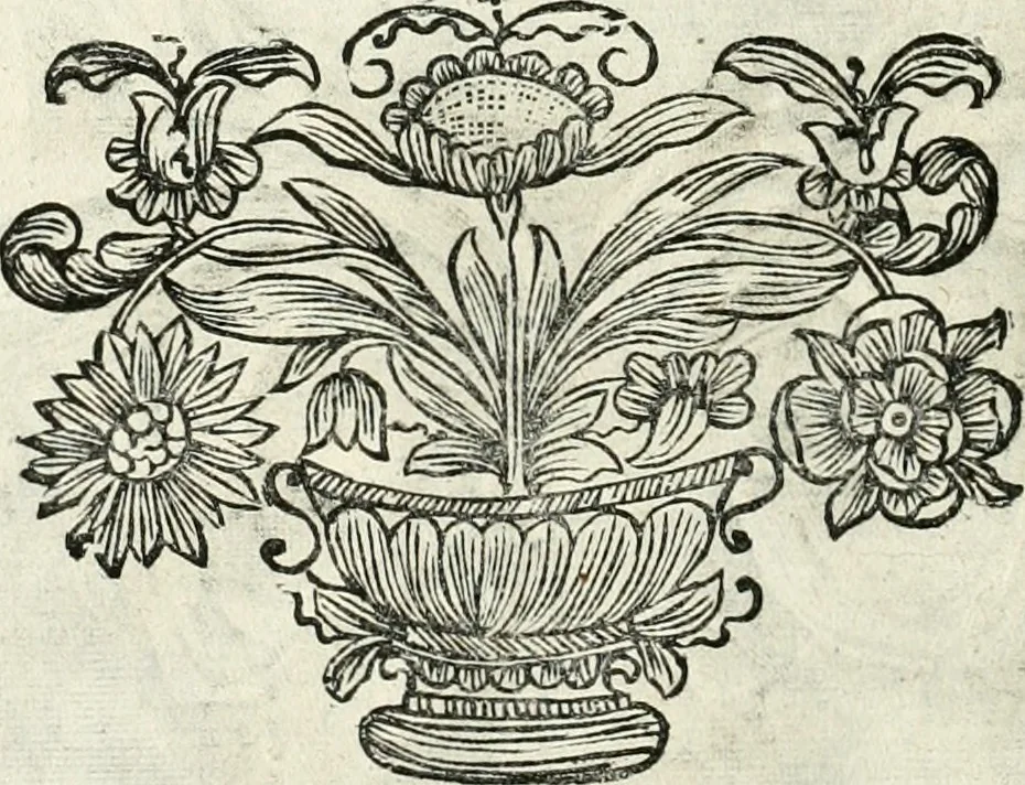An illustration from Innocentia vindicata : in qua gravissimis argumentis ex S. Thoma petitis ostenditur, angelicum doctorem pro immaculato conceptu Deiparae sensisse & scripsisse ..., 1698, leaf 185