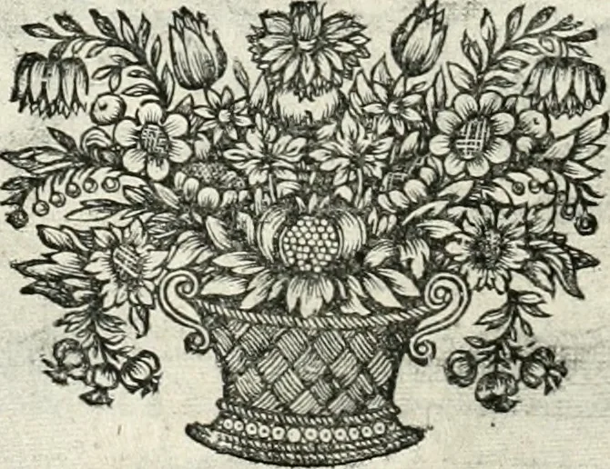 An illustration from Innocentia vindicata : in qua gravissimis argumentis ex S. Thoma petitis ostenditur, angelicum doctorem pro immaculato conceptu Deiparae sensisse & scripsisse ..., 1698, leaf 187