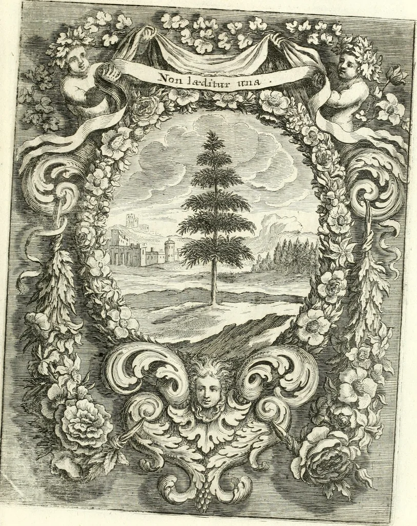 An illustration from Innocentia vindicata : in qua gravissimis argumentis ex S. Thoma petitis ostenditur, angelicum doctorem pro immaculato conceptu Deiparae sensisse & scripsisse ..., 1698, leaf 188