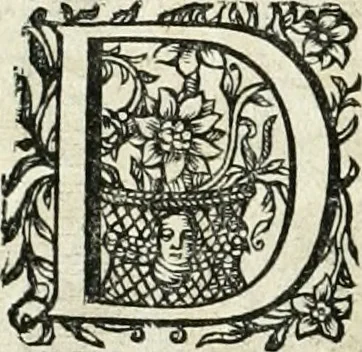 An illustration from Innocentia vindicata : in qua gravissimis argumentis ex S. Thoma petitis ostenditur, angelicum doctorem pro immaculato conceptu Deiparae sensisse & scripsisse ..., 1698, leaf 189