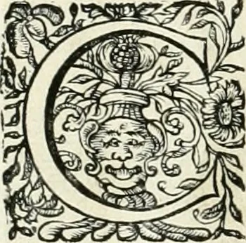 An illustration from Innocentia vindicata : in qua gravissimis argumentis ex S. Thoma petitis ostenditur, angelicum doctorem pro immaculato conceptu Deiparae sensisse & scripsisse ..., 1698, leaf 191
