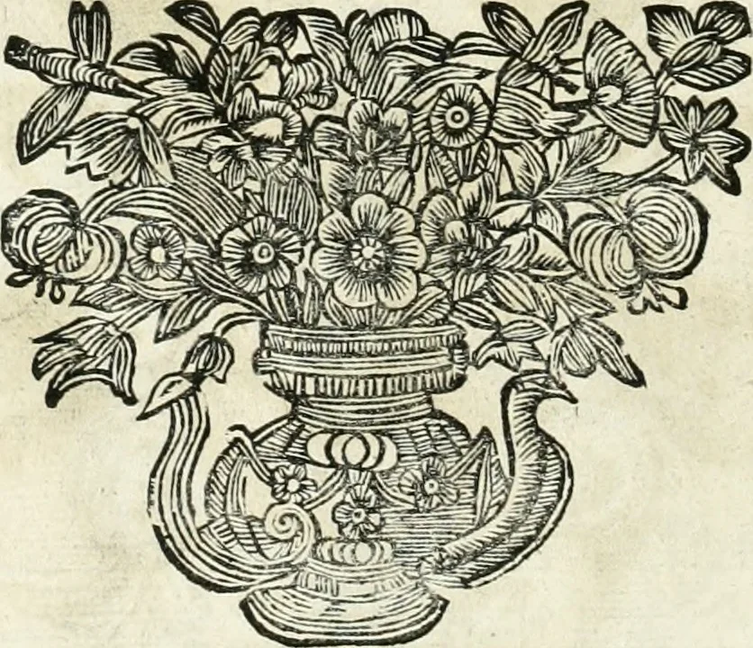 An illustration from Innocentia vindicata : in qua gravissimis argumentis ex S. Thoma petitis ostenditur, angelicum doctorem pro immaculato conceptu Deiparae sensisse & scripsisse ..., 1698, leaf 191