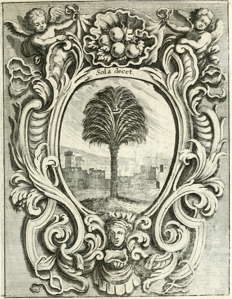 An illustration from Innocentia vindicata : in qua gravissimis argumentis ex S. Thoma petitis ostenditur, angelicum doctorem pro immaculato conceptu Deiparae sensisse & scripsisse ..., 1698, leaf 192