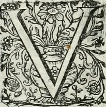 An illustration from Innocentia vindicata : in qua gravissimis argumentis ex S. Thoma petitis ostenditur, angelicum doctorem pro immaculato conceptu Deiparae sensisse & scripsisse ..., 1698, leaf 197