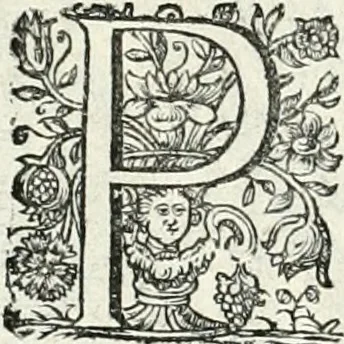 An illustration from Innocentia vindicata : in qua gravissimis argumentis ex S. Thoma petitis ostenditur, angelicum doctorem pro immaculato conceptu Deiparae sensisse & scripsisse ..., 1698, leaf 201