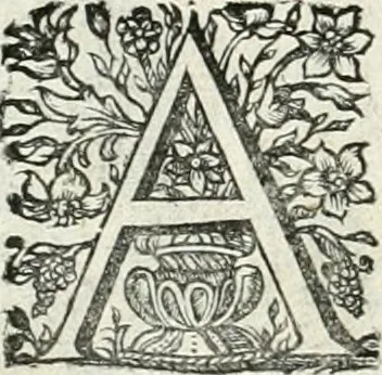 An illustration from Innocentia vindicata : in qua gravissimis argumentis ex S. Thoma petitis ostenditur, angelicum doctorem pro immaculato conceptu Deiparae sensisse & scripsisse ..., 1698, leaf 203