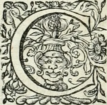 An illustration from Innocentia vindicata : in qua gravissimis argumentis ex S. Thoma petitis ostenditur, angelicum doctorem pro immaculato conceptu Deiparae sensisse & scripsisse ..., 1698, leaf 205