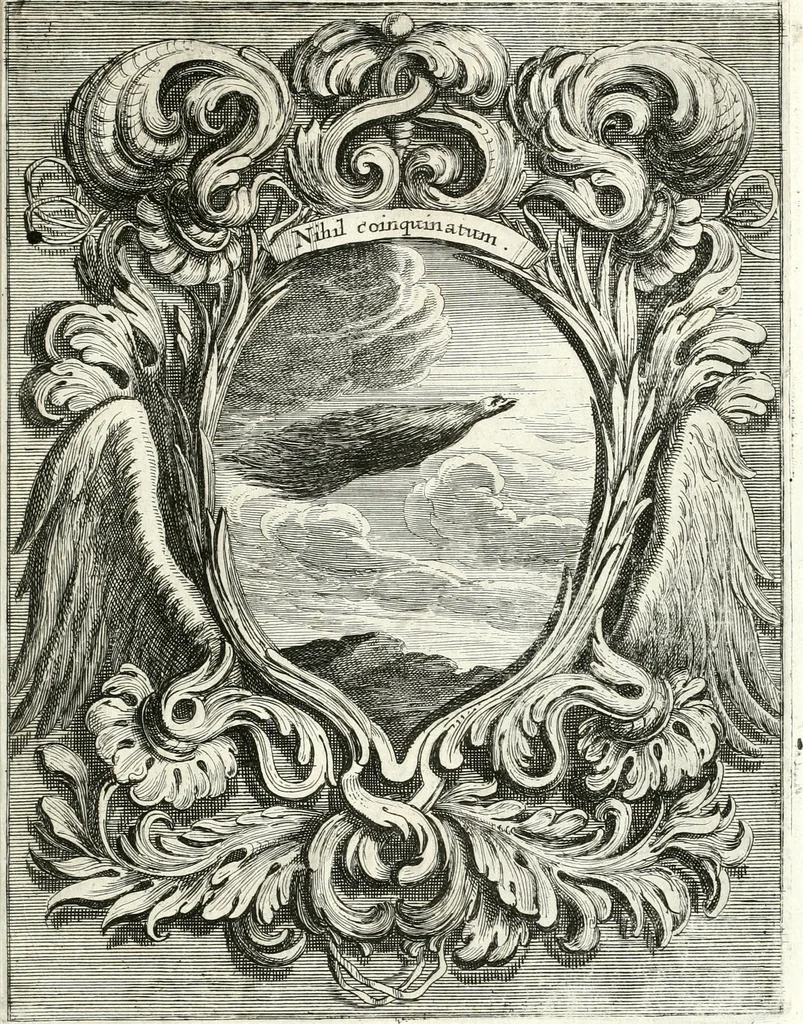 An illustration from Innocentia vindicata : in qua gravissimis argumentis ex S. Thoma petitis ostenditur, angelicum doctorem pro immaculato conceptu Deiparae sensisse & scripsisse ..., 1698, leaf 206