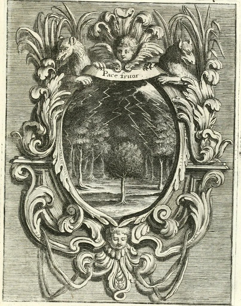 An illustration from Innocentia vindicata : in qua gravissimis argumentis ex S. Thoma petitis ostenditur, angelicum doctorem pro immaculato conceptu Deiparae sensisse & scripsisse ..., 1698, leaf 208