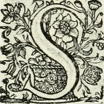 An illustration from Innocentia vindicata : in qua gravissimis argumentis ex S. Thoma petitis ostenditur, angelicum doctorem pro immaculato conceptu Deiparae sensisse & scripsisse ..., 1698, leaf 209