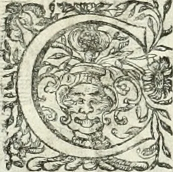 An illustration from Innocentia vindicata : in qua gravissimis argumentis ex S. Thoma petitis ostenditur, angelicum doctorem pro immaculato conceptu Deiparae sensisse & scripsisse ..., 1698, leaf 211