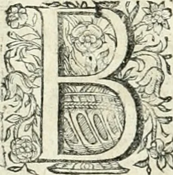An illustration from Innocentia vindicata : in qua gravissimis argumentis ex S. Thoma petitis ostenditur, angelicum doctorem pro immaculato conceptu Deiparae sensisse & scripsisse ..., 1698, leaf 213