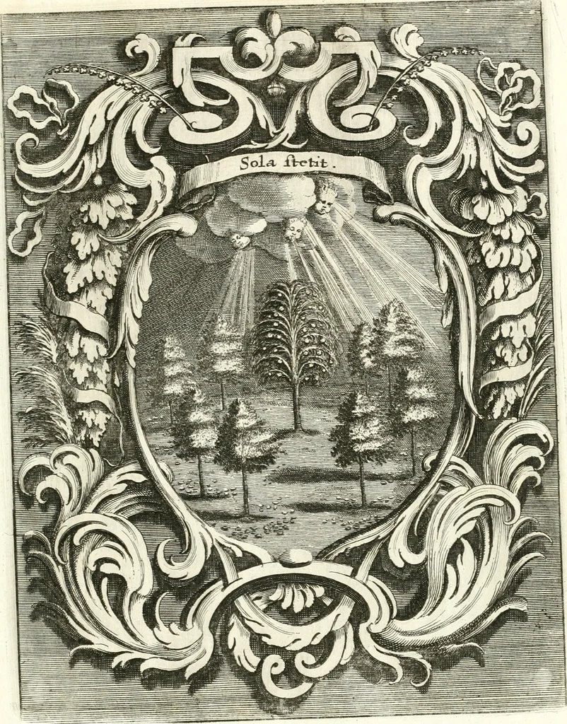 An illustration from Innocentia vindicata : in qua gravissimis argumentis ex S. Thoma petitis ostenditur, angelicum doctorem pro immaculato conceptu Deiparae sensisse & scripsisse ..., 1698, leaf 216