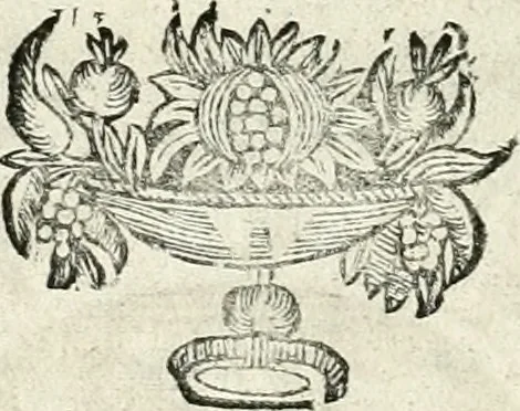 An illustration from Innocentia vindicata : in qua gravissimis argumentis ex S. Thoma petitis ostenditur, angelicum doctorem pro immaculato conceptu Deiparae sensisse & scripsisse ..., 1698, leaf 217