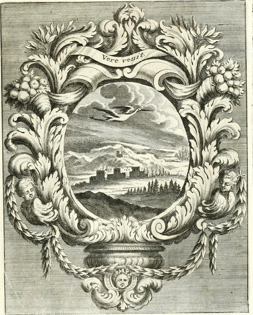 An illustration from Innocentia vindicata : in qua gravissimis argumentis ex S. Thoma petitis ostenditur, angelicum doctorem pro immaculato conceptu Deiparae sensisse & scripsisse ..., 1698, leaf 218