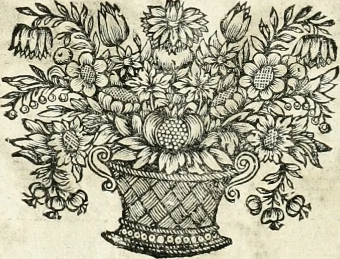 An illustration from Innocentia vindicata : in qua gravissimis argumentis ex S. Thoma petitis ostenditur, angelicum doctorem pro immaculato conceptu Deiparae sensisse & scripsisse ..., 1698, leaf 221