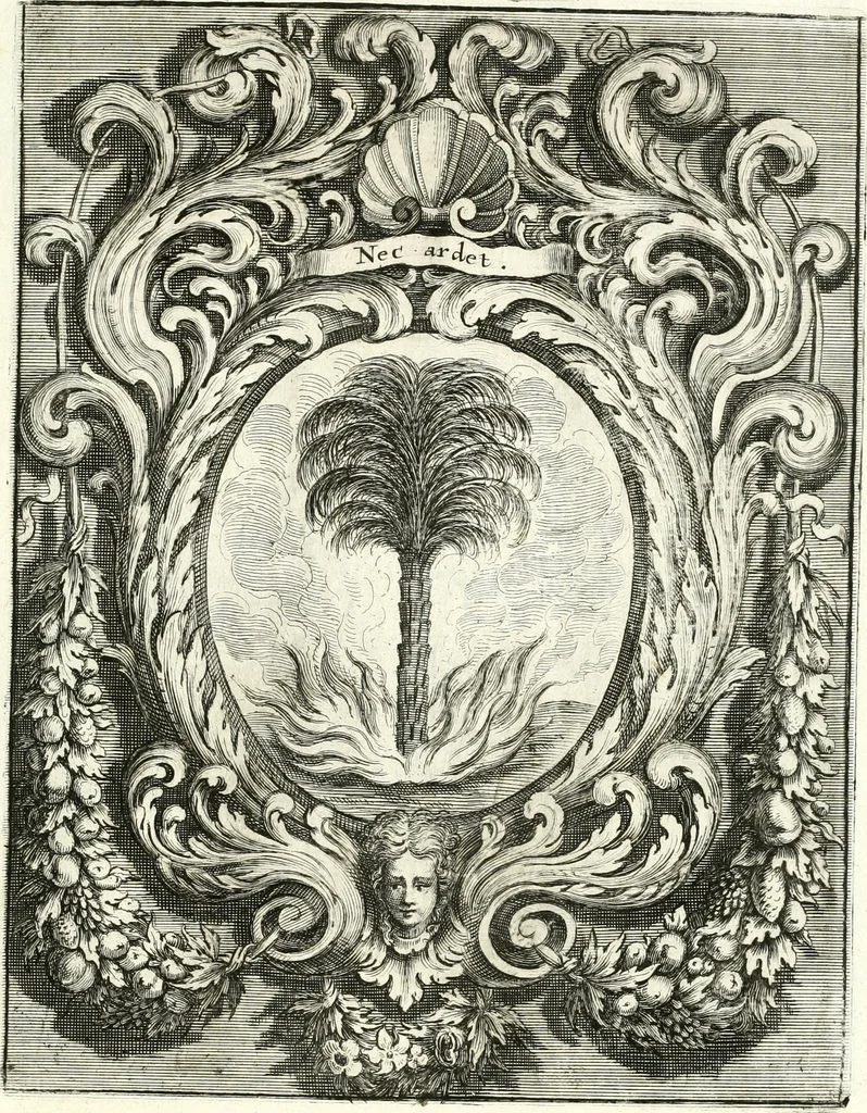 An illustration from Innocentia vindicata : in qua gravissimis argumentis ex S. Thoma petitis ostenditur, angelicum doctorem pro immaculato conceptu Deiparae sensisse & scripsisse ..., 1698, leaf 222