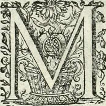An illustration from Innocentia vindicata : in qua gravissimis argumentis ex S. Thoma petitis ostenditur, angelicum doctorem pro immaculato conceptu Deiparae sensisse & scripsisse ..., 1698, leaf 223