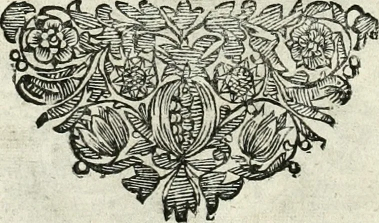 An illustration from Innocentia vindicata : in qua gravissimis argumentis ex S. Thoma petitis ostenditur, angelicum doctorem pro immaculato conceptu Deiparae sensisse & scripsisse ..., 1698, leaf 223
