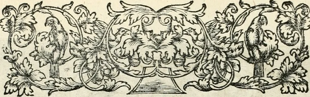 An illustration from Innocentia vindicata : in qua gravissimis argumentis ex S. Thoma petitis ostenditur, angelicum doctorem pro immaculato conceptu Deiparae sensisse & scripsisse ..., 1698, leaf 225