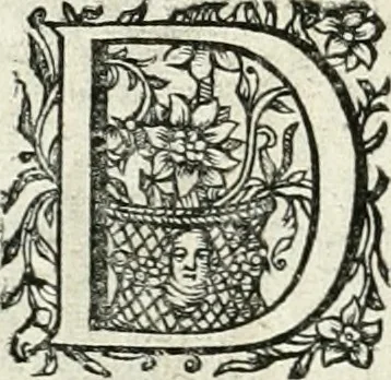 An illustration from Innocentia vindicata : in qua gravissimis argumentis ex S. Thoma petitis ostenditur, angelicum doctorem pro immaculato conceptu Deiparae sensisse & scripsisse ..., 1698, leaf 225