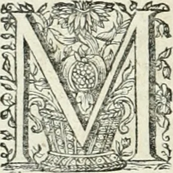 An illustration from Innocentia vindicata : in qua gravissimis argumentis ex S. Thoma petitis ostenditur, angelicum doctorem pro immaculato conceptu Deiparae sensisse & scripsisse ..., 1698, leaf 227