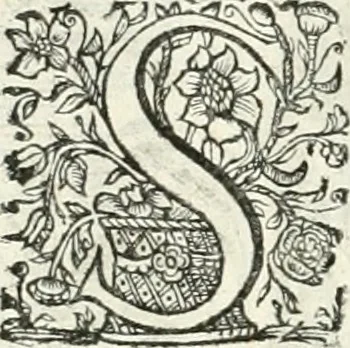 An illustration from Innocentia vindicata : in qua gravissimis argumentis ex S. Thoma petitis ostenditur, angelicum doctorem pro immaculato conceptu Deiparae sensisse & scripsisse ..., 1698, leaf 229