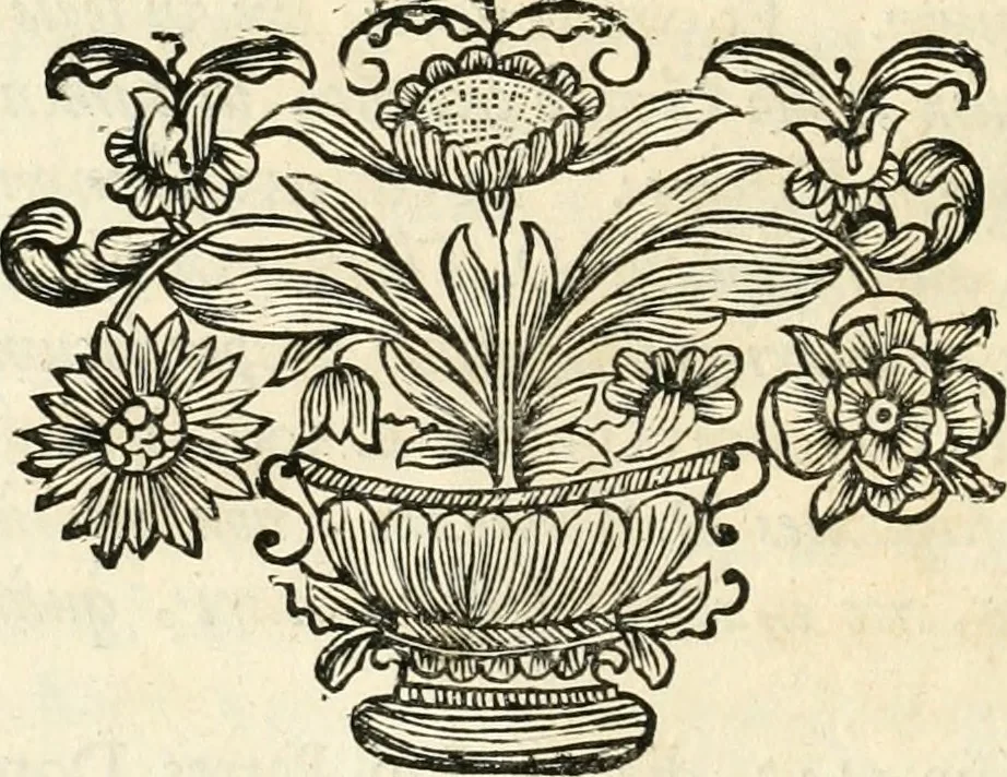 An illustration from Innocentia vindicata : in qua gravissimis argumentis ex S. Thoma petitis ostenditur, angelicum doctorem pro immaculato conceptu Deiparae sensisse & scripsisse ..., 1698, leaf 25
