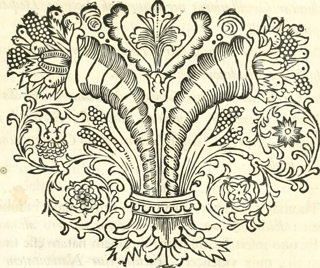 An illustration from Innocentia vindicata : in qua gravissimis argumentis ex S. Thoma petitis ostenditur, angelicum doctorem pro immaculato conceptu Deiparae sensisse & scripsisse ..., 1698, leaf 30