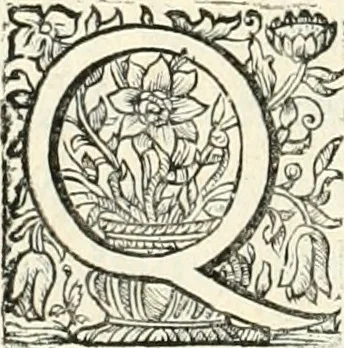 An illustration from Innocentia vindicata : in qua gravissimis argumentis ex S. Thoma petitis ostenditur, angelicum doctorem pro immaculato conceptu Deiparae sensisse & scripsisse ..., 1698, leaf 39