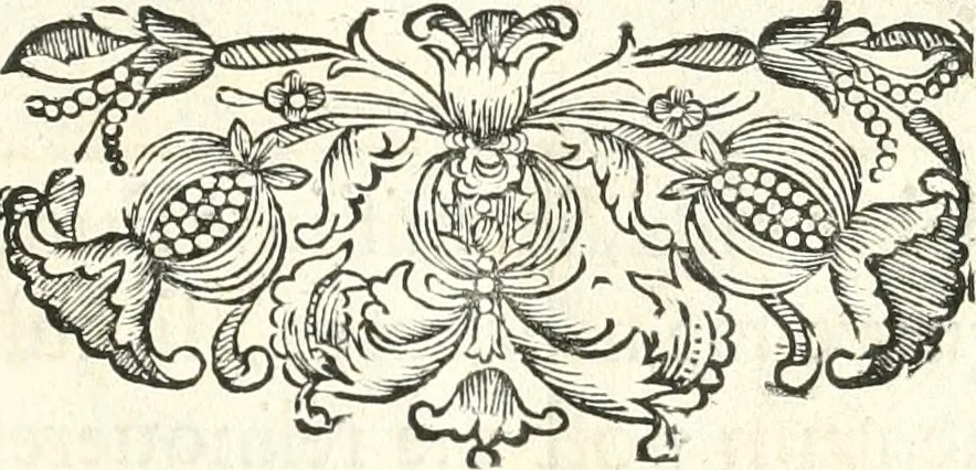 An illustration from Innocentia vindicata : in qua gravissimis argumentis ex S. Thoma petitis ostenditur, angelicum doctorem pro immaculato conceptu Deiparae sensisse & scripsisse ..., 1698, leaf 6