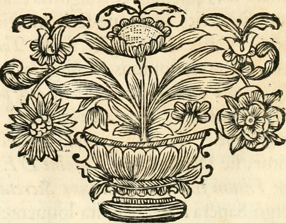 An illustration from Innocentia vindicata : in qua gravissimis argumentis ex S. Thoma petitis ostenditur, angelicum doctorem pro immaculato conceptu Deiparae sensisse & scripsisse ..., 1698, leaf 83