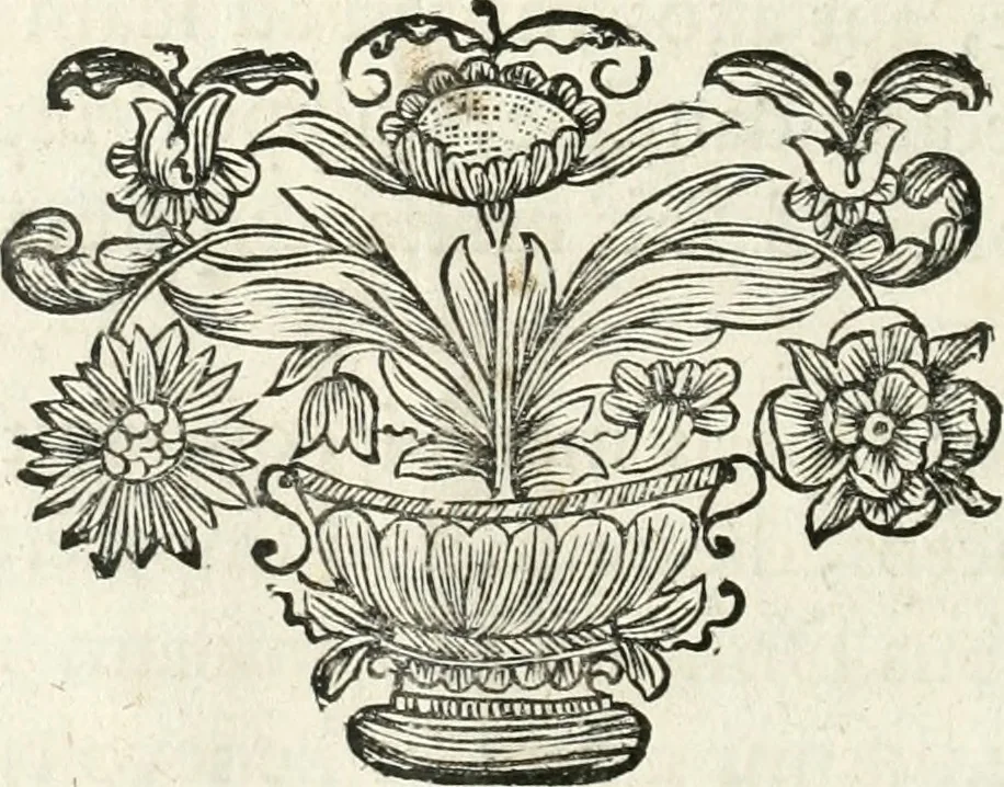 An illustration from Innocentia vindicata : in qua gravissimis argumentis ex S. Thoma petitis ostenditur, angelicum doctorem pro immaculato conceptu Deiparae sensisse & scripsisse ..., 1698, leaf 9