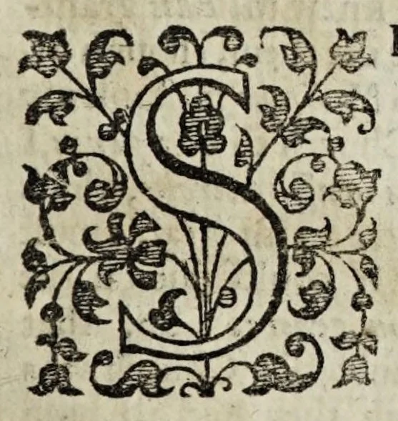 An illustration from Vindication of the essence and unity of the Church-Catholick visible, and the priority thereof in regard to particular churches : in answer to the obj, 1658, leaf 305