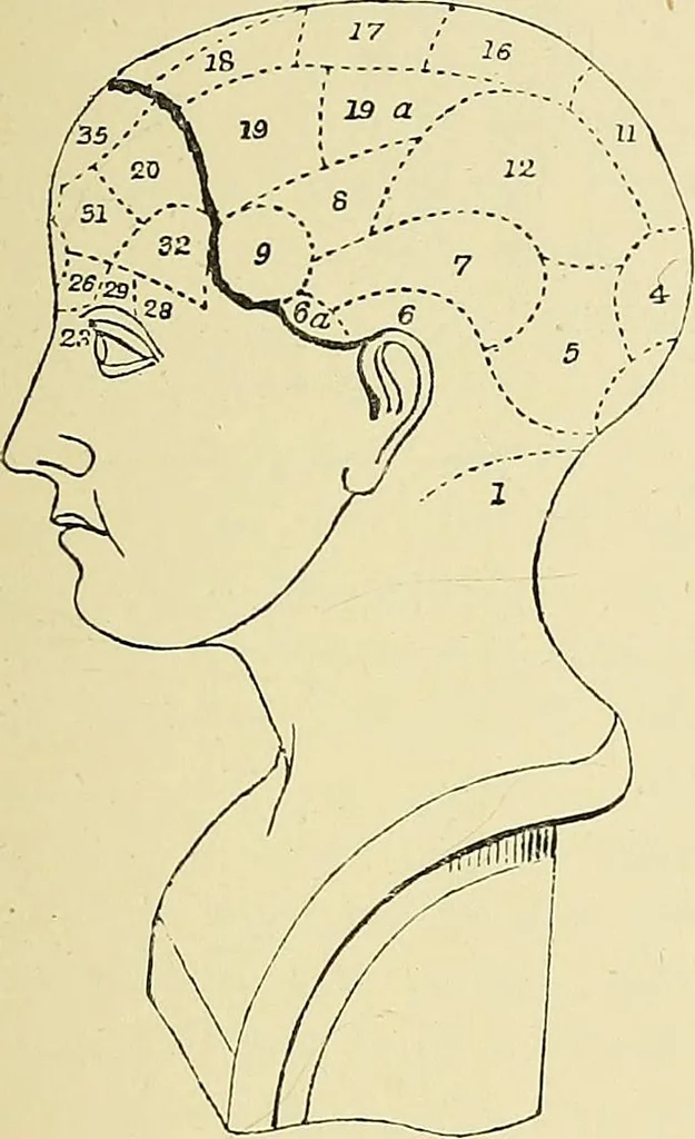 An illustration from A vindication of phrenology, 1894, leaf 278