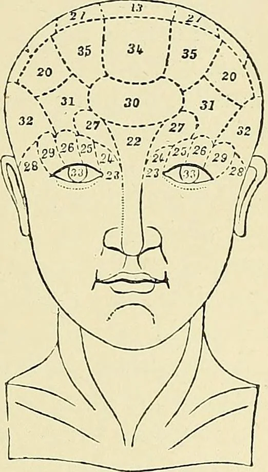 An illustration from A vindication of phrenology, 1894, leaf 278