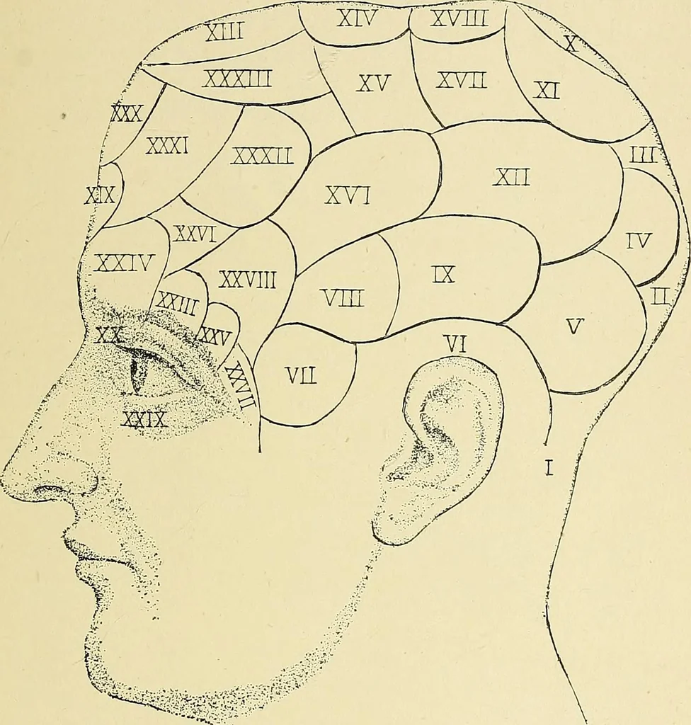 An illustration from A vindication of phrenology, 1894, leaf 444