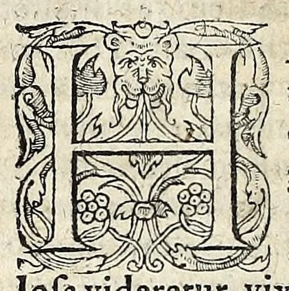 An illustration from Vindiciae contra tyrannos, sive, De principis in populum populique in principem legitima potestate, 1579, leaf 52