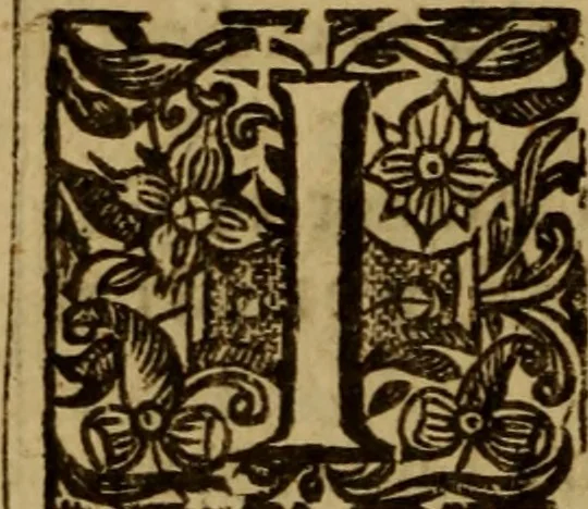An illustration from Vindiciae Ministerii Evangelici : a Vindication of the great Ordinance of God, viz. a gospel-ministry .., 1651, leaf 107