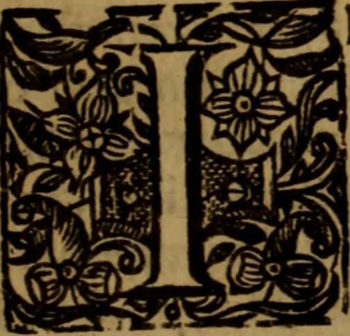 An illustration from Vindiciae Ministerii Evangelici : a Vindication of the great Ordinance of God, viz. a gospel-ministry .., 1651, leaf 96